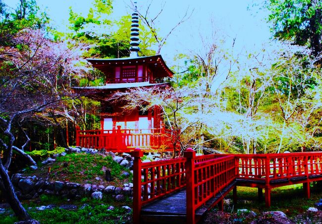 　本日(7:30)、三重県の斎宮跡と昭和幸福村公園へ出かけることに致しました。いつものように、車での気軽な一人旅です。<br /><br />　以前より興味深かった上記の２地区を見たい、桜咲くこの時期にこの思いを旅行記に投稿致します。<br /><br />　改めて自身のスタイルを？、やはり小生は歴史好きで今回は和歌への想いを中心にこの旅行記に載せたいと思います。<br /><br />　中身につきましては、大伯皇女（万葉集）・藤原敦忠（拾遺集）の作品を主にと、それにまつわる人物等を登場させたい所存です。<br /><br />　旅行記としては極めてマイナーなものです、少なからず興味ある方に覗いて頂ければ幸いです。<br />　　　　　　　　　　　　　　　（写真・昭和幸福村公園の歴史の庭）<br />