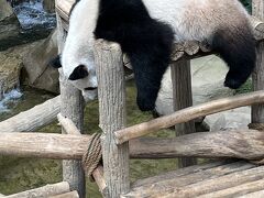 ３年ぶりのクアラルンプール　Ⅱ（動物園）