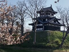 今年も外したわ！ (。>д<)  高田観桜会