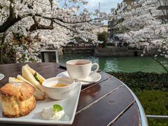 花に癒される　&#12316;のどかな京都大原と桜も人も満載の疏水べり&#12316;2024.4.7