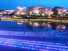 梅、桜、イルミネーション、グルメの一泊二日　その6