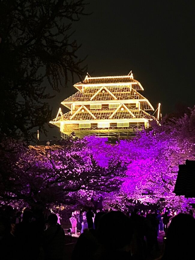 ２０２４年３月２７日(水)に平年より５日遅く、昨年より９日遅い開花宣言をした桜が満開となり福岡城址を中心に今年も開催した「福岡城・さくらまつり」に娘と訪れました。<br />先ずはいつものまぐろやジョーで食事をしライトアップされる時間に色鮮やかな桜と開催期間に合わせてLEDライトの光で復元した「幻の天守閣」を観て来ました。