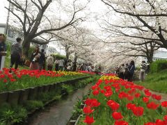 江川せせらぎ緑道、今年も行ってきた。