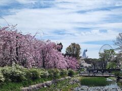 大阪万博記念公園