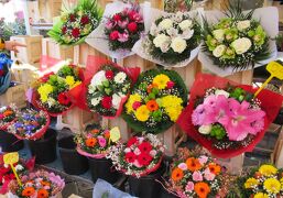 カーニバル前に朝のニースの街歩き&#128062;  朝市で賑わうサレヤ広場の&#127802;一杯の花市場