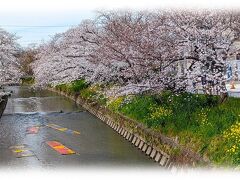 福寿稲荷大明神・信貴山宝生寺 (岩倉市本町畑中)