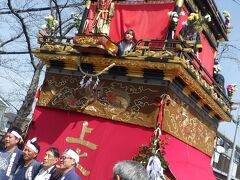 今年の桜　（岩倉の山車と近場花見サイクル）