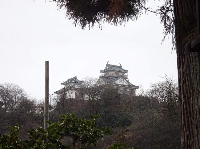 福井県立恐竜博物館が楽しく、思ったより多くの時間を過ごしてしまいました。<br />お腹がペコペコで、国道沿いで遅いランチを終え、大野市へ。<br />大野市歴史博物館に寄ってから越前大野城の麓にある城下町へ。<br /><br />雲海に浮かぶ天空の城として有名な越前大野城は冬には山を上がることができません。<br />麓の武家屋敷を２つ拝見しました。<br />内山家が面白かったな～<br /><br />そして、朝倉義景の墓所へ。<br />織田信長に一乗谷の合戦に負けた朝倉義景のお墓は、大野にありました。<br />一乗谷にますます行ってみたくなりました。<br /><br /><br /><br />