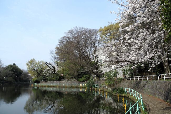 2月に吉祥寺の井の頭恩賜公園で梅花の写真を撮って以来、<br />さぼりにさぼってしまっていた、あんこう鍋です。<br /><br />今回２か月ぶりの投稿になります。<br />訪れたのは練馬区の武蔵関公園です。<br />晴天の日曜日に行きたかったのですが、<br />翌日月曜日にずれこんでしまいました。<br /><br />どよーんとした天気。。。ああ、やっぱり雨男？<br />雨降らないだけ良かったですけれど。