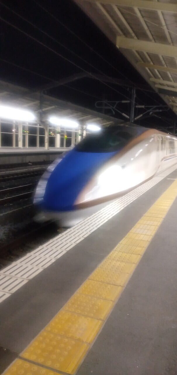 高崎に1泊泊まりで出張<br />行きはローカル線でゆっくり<br />帰りは新幹線でサプライズ