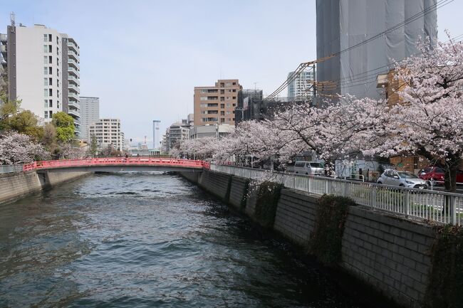 2024年4月7日（日）久しぶりに晴れて暖かくなったので、品川方面の散策に出かけることにしました。本当は3月中に訪れるつもりで計画を立てていたのですが、今年は桜の開花が遅れたので新年度に入ってからの来訪となりました。大井町駅からスタートして、旧東海道品川宿の通りを東京方面に向かって歩いて行きますが、この辺りは寺社の数が非常に多く、個性的な寺社が点在しているので、なかなか楽しい散策になりました。<br />散策の最期にはグランドプリンスホテル高輪の日本庭園で桜を鑑賞します。