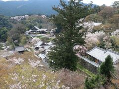 大和路の春は花の御寺へ　後編