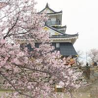 晴れおじさん「春の静岡 花めぐり・城めぐり」(前編)