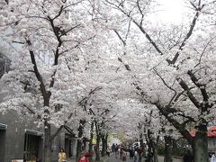 桜の名所