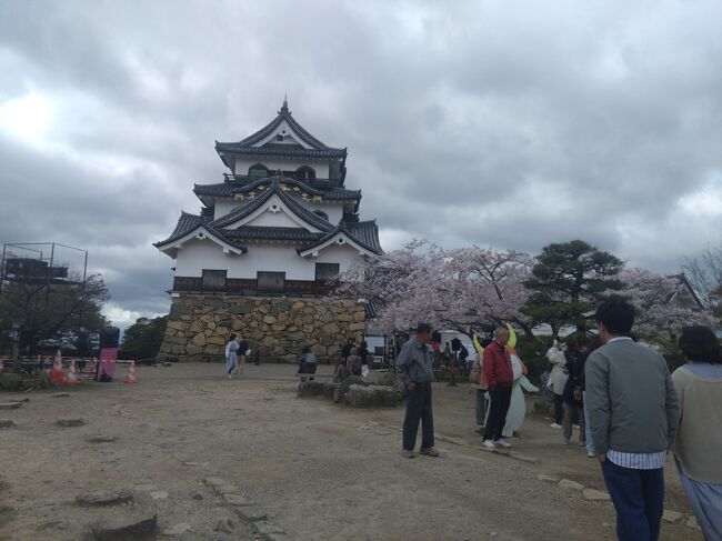 　彦根市は豊かな自然環境と歴史遺産に恵まれており、また交通の便が良いことから琵琶湖東北部の中心的都市として発展している滋賀県の都市です。大津市に次いで第２位の都市でありましたが、平成の大合併後は第５位になりました。多くの方はひこにゃんと彦根城と思う方が多いかもしれないですが、魅力はそれだけではありません。彦根市の産業は商業・サービス業を中心とした第3次産業の比率が高く、次いで製造業が中心です。また、滋賀大学、滋賀県立大学、聖泉大学、ミシガン州立大学連合日本センターが立地しており、研究学術都市な備えているのが特徴です。<br />　今回は彦根城・彦根城博物館・四番町スクエアなどを訪問し、彦根丼や近江牛コロッケなどのグルメを満喫出来ました。歴史好きな自分にたまらない旅でした。<br />　最後になりますが、私の旅行記を見て彦根市に行きたいと思ったきっかけ及び彦根市に旅行に行きたいと思ったきっかけとなれば幸いです。彦根市の旅行が皆様にとって忘れならない思い出になります事を心からお祈り申し上げます。<br />参考資料<br />・滋賀くらし<br />・彦根市<br />・刀剣ワールド<br />・ホテルサンルート彦根<br />・滋賀・びわ湖観光情報<br />・彦根観光ガイド<br />・国宝彦根城<br />・琵琶湖汽船<br />・JRお出かけネット