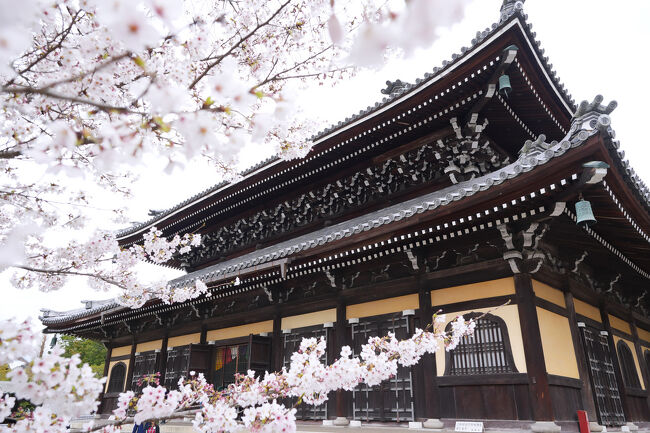 3日目は当初の予定を変更して京都へ。<br />桜シーズンの京都なんてどこも人でごった返していそうだけどあえてチャレンジ！<br />桜の名所、蹴上インクラインと南禅寺へ。