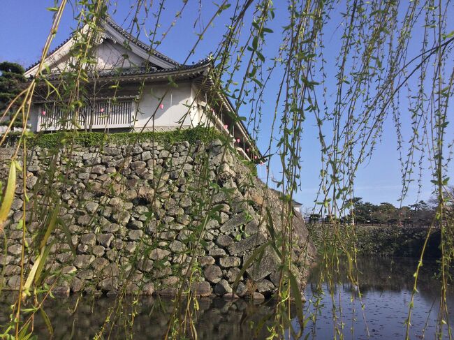 岸和田と言えば「だんじり」でしょう。。。<br /><br />　江戸時代中期に始まり、300年以上の歴史と伝統を誇る岸和田だんじり祭は岸和田に生まれ育った人達により連綿と受け継がれ、今日まで続いているようです。<br />　昼は繊細かつ豪快な曳行、夜は美しい提灯に飾られた華麗なだんじりは日本有数の祭りとして有名ですね。<br />　今回は南海電車岸和駅から徒歩で移動して、岸和田城、だんじり会館周辺を散策してみます。