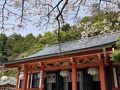 5年ぶりひとりお花見部in京都①　でも初日は平日！桜の風景印あつめ