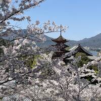 桜の宮島