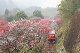 18きっぷで桐生に行って、春のわたらせ渓谷鉄道を満喫した旅①神戸駅周辺ゆるハイク