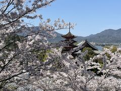 桜の宮島