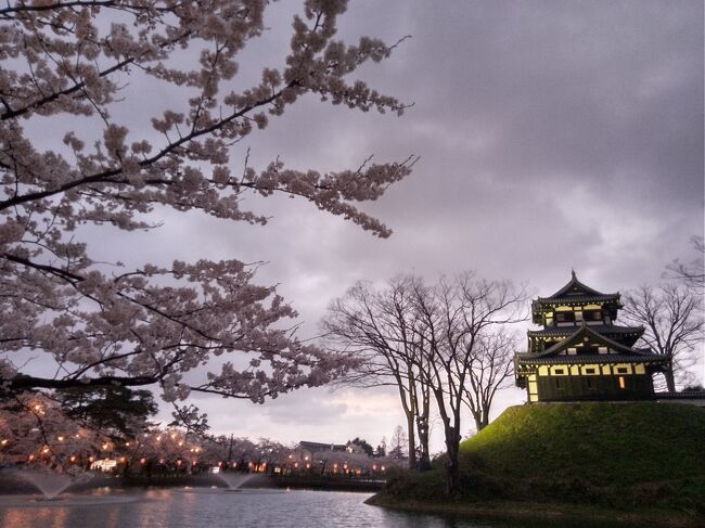 高田城址公園の桜を見に行きました。