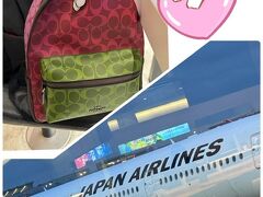 2024年　「2人合わせて140歳　久し振りにMIKIKOさん飛行機に乗る！！ジュリーのコンサート以来？」佐世保まで　