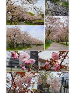 大宮の旅行記