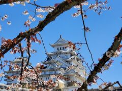 桜と白鷺城に会いに行く。　姫路城編