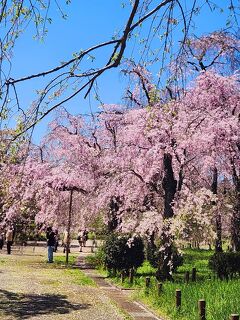 神代植物公園