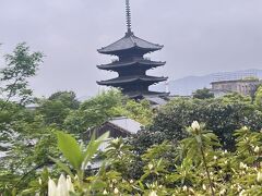 YOU達みて旅友さんとランチして空港泊まって朝の飛行機で帰りました(^^)