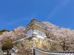 「たつの」ってどんな処？姫路の近くだけど姫路より観光客少ないし、桜の超穴場やん！風情ある町並みがサイコーに良い(^-^)