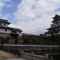 百名城の内先ずは四国９城を攻略します。（湯築城・松山城・今治城）