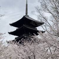 春の京都