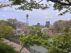 天王寺公園の.･*桜･:*  ＆ 大阪「冬の陣」では家康、｢夏の陣｣では真田幸村の本陣になった茶臼山