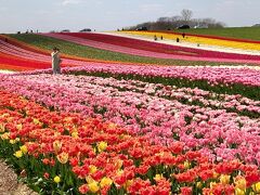 2024年4月　デュッセルドルフの近場にお花などを見にでかけます　Duesseldorf, Meerbusch, Grevenbroich