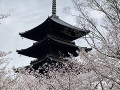 春の京都