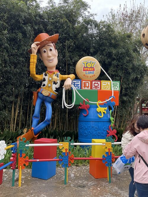 上海ディズニーランド○公式から購入したドリームデイパッケージ