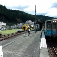 春の四国一周鉄道旅行　前編　ＪＡＬファーストクラス？？？席で徳島へ　徳島ラーメンから特急列車乗り継いで、絶景の四万十川を眺めて予土線乗車