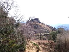 春の週末旅は桜咲く岐阜へ・・苗木城。