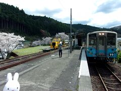 春の四国一周鉄道旅行　前編　ＪＡＬファーストクラス？？？席で徳島へ　徳島ラーメンから特急列車乗り継いで、絶景の四万十川を眺めて予土線乗車