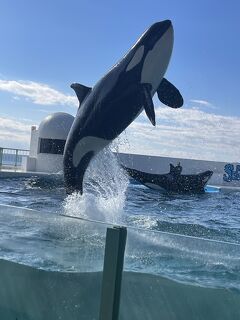 鴨川シーワールド　他