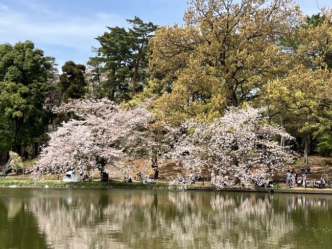 埼玉県で一番利用の多い県営公園として親しまれており、1,000本もの桜をはじめ、新緑や紅葉が美しい樹木がたくさんあり、四季おりおりの変化が楽しめるほか、硬式野球場、双輪場（兼陸上競技場）、 サッカー場、プール（競泳用）、弓道場、小動物園、児童遊園地などがあります。