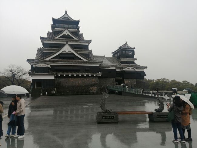 2日目は新幹線で、熊本に移動。<br /><br />新幹線口でレンタカーを借り、熊本城へ。<br />震災の痕は残りますが、頑張ってほしいものです。<br />34年ぶりに熊本城を見ましたが、やはり加藤清正は傑物です。