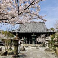 5年ぶりひとりお花見部in京都②　2日めは亀岡で霊場巡りと一乗寺の鶏だく