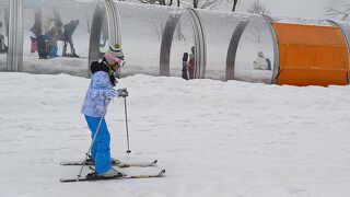 9歳子連れ春休みに札幌でスキー！？【後編】札幌国際スキー場からのススキノでジンギスカン