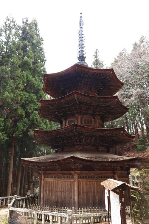 2024信州の桜② 別所温泉お寺巡り 北向観音堂・安楽寺（八角三重