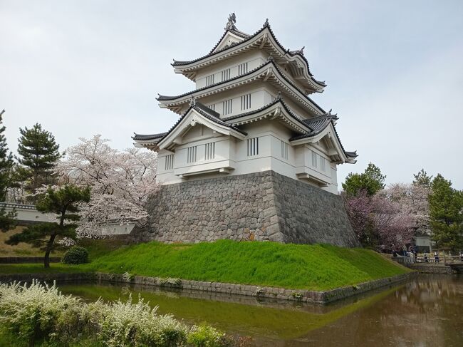 今年は3月になって寒い日が続いたため、東京近郊でもソメイヨシノが開花したのが何と３月末日、満開は4月になってからです。ここ10年で最も開花、満開日が遅い状況です。今年の4月最初の土日は両日とも埼玉県の桜を巡ります。<br />初日は大宮公園、岩槻城址公園、伊奈町にある無線山の県東部、翌日は熊谷と行田の県北部を廻りした。公園に点在する多くの桜や桜トンネル、長距離に渡る土手沿いの桜並木と菜の花、城の桜と訪れたところすべてでほぼ満開、美し過ぎる絶景を楽しむことができました。<br /><br />--------------------------------------------------------------------------------<br />スケジュール<br /><br />　4月6日　自宅－（自家用車）大宮公園－岩槻城址公園－無線山桜並木<br />　　　　　－自宅<br />★4月7日　自宅－（自家用車）熊谷堤－忍城－古代蓮の里－自宅
