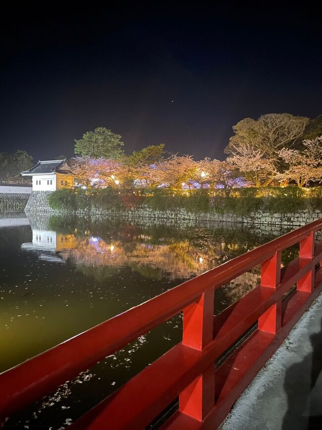 小田原城の夜桜を見に行きました。ライトアップ時間が21時までなので、ギリギリ間に合いました。<br /><br />