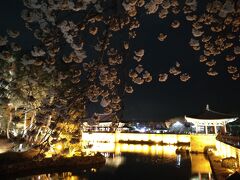 桜を求めて、釜山・慶州おばちゃん二人花見旅⑥～東宮と月池・月精橋・瞻星台のライトアップ～　～